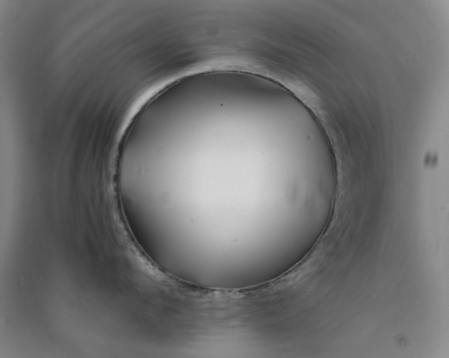 X0000090880912200708171643