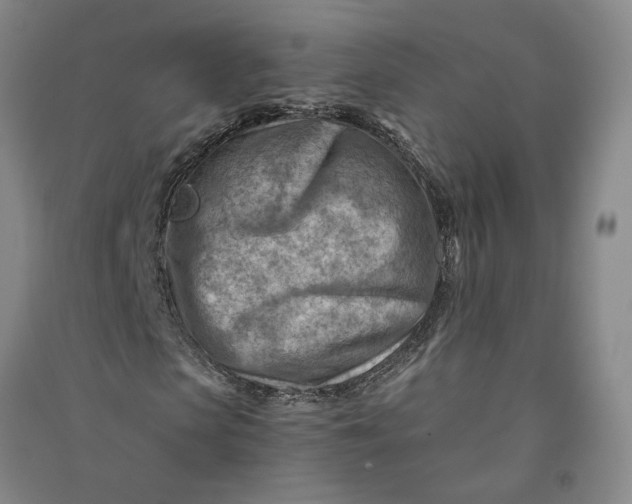 X0000090880913200708171642