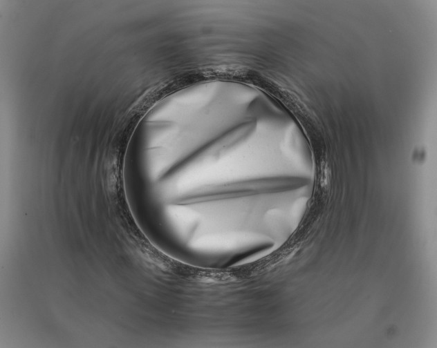 X0000090880915200708171642