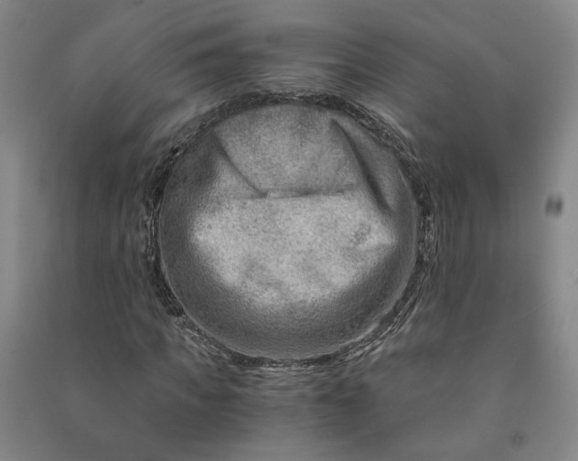 X0000090880917200708171642