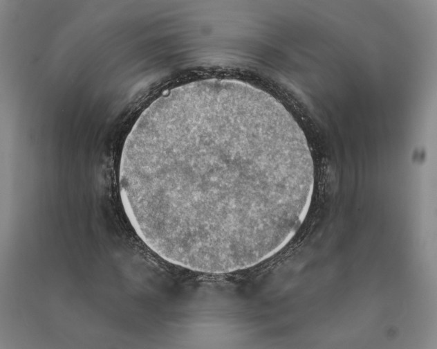 X0000090880918200708171642