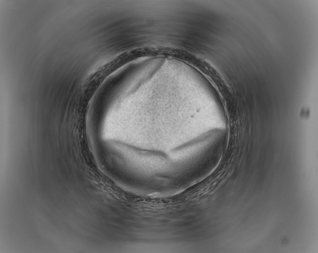 X0000090880919200708171642