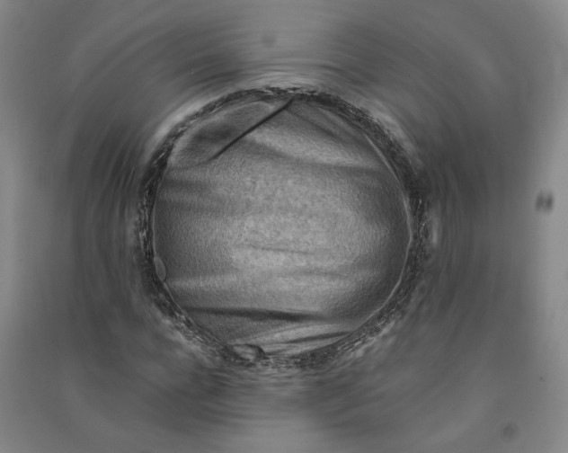 X0000090880920200708171642