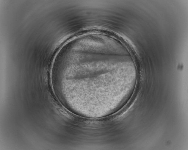 X0000090880921200708171643