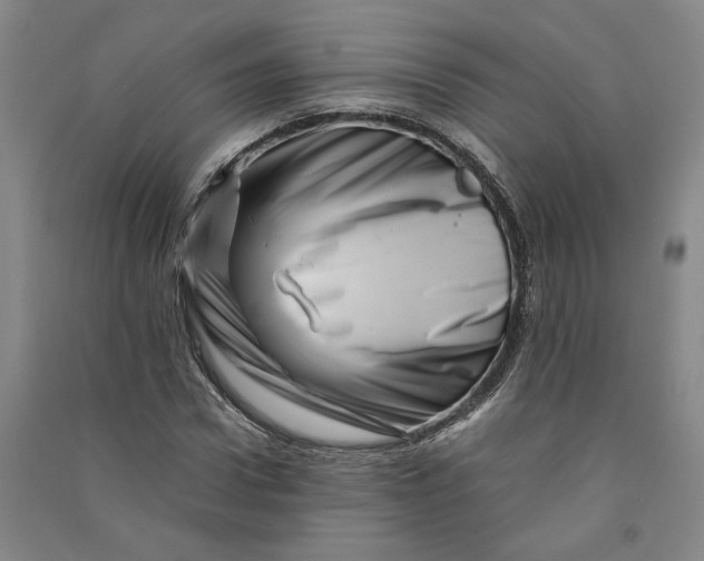 X0000090880922200708171643