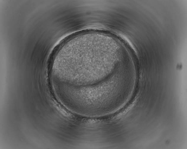 X0000090880923200708171643