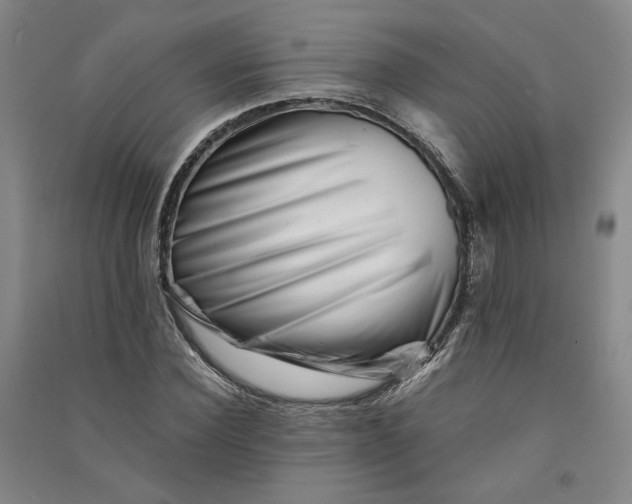 X0000090880924200708171643