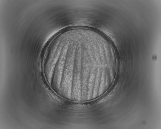 X0000090880925200708171643
