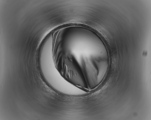 X0000090880926200708171643