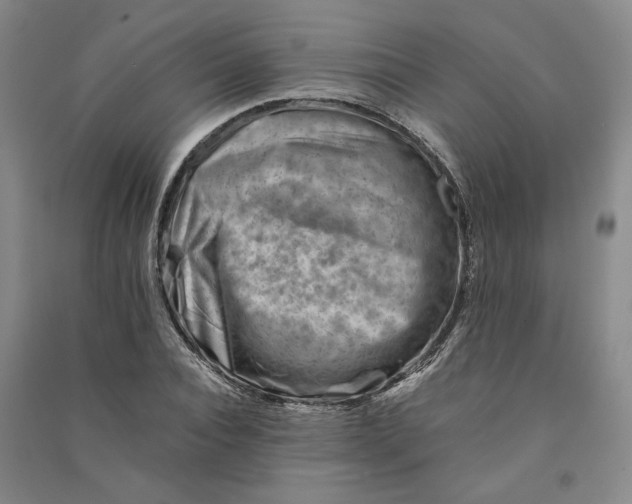 X0000090880928200708171643