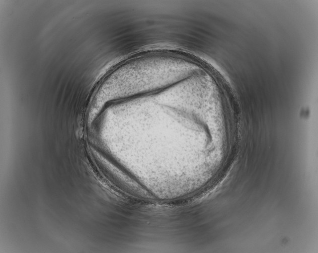X0000090880929200708171643