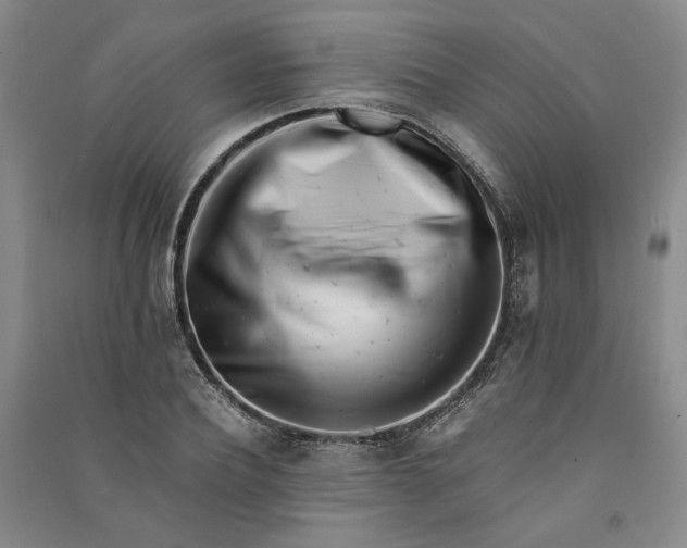 X0000090880932200708171643