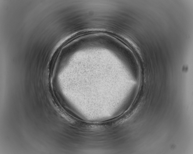 X0000090880933200708171643