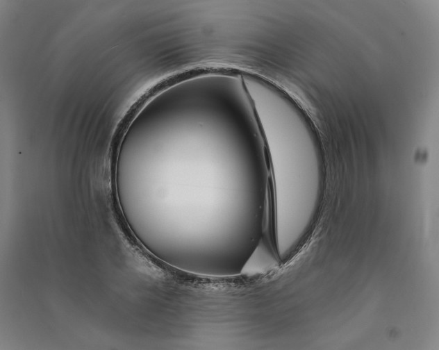 X0000090880934200708171643