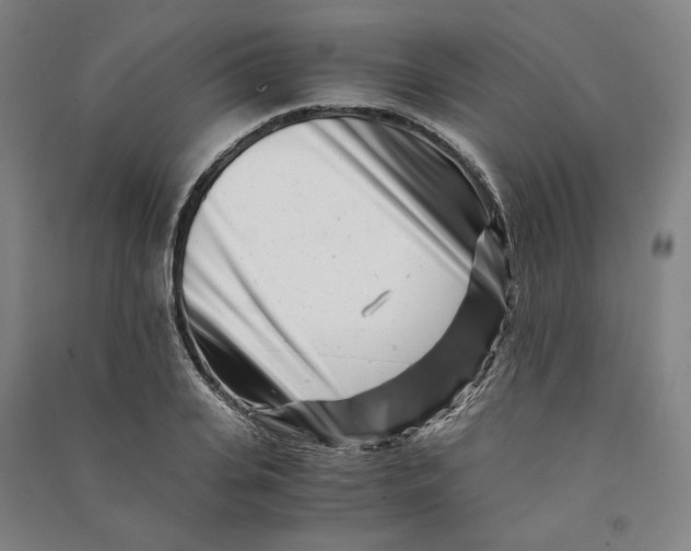 X0000090880935200708171643