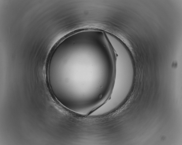 X0000090880936200708171643