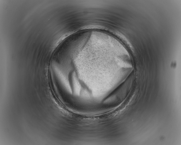 X0000090880937200708171643