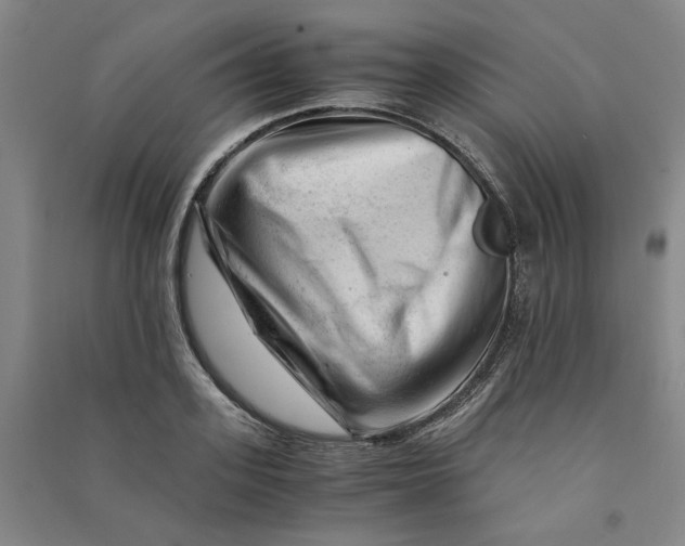 X0000090880939200708171643