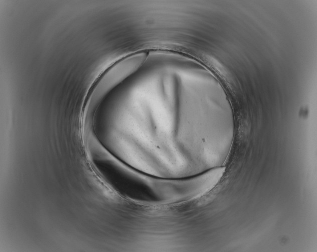 X0000090880940200708171643
