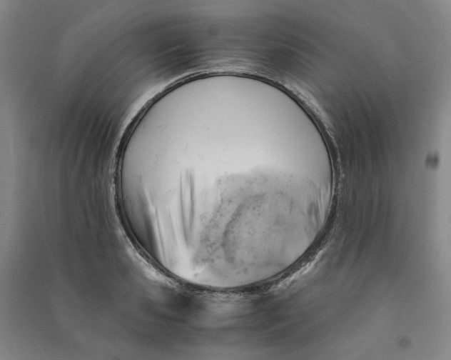 X0000090880941200708171643