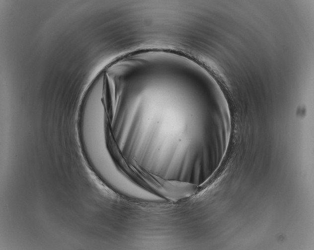 X0000090880942200708171643
