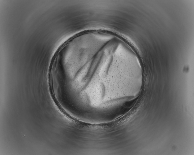 X0000090880943200708171643