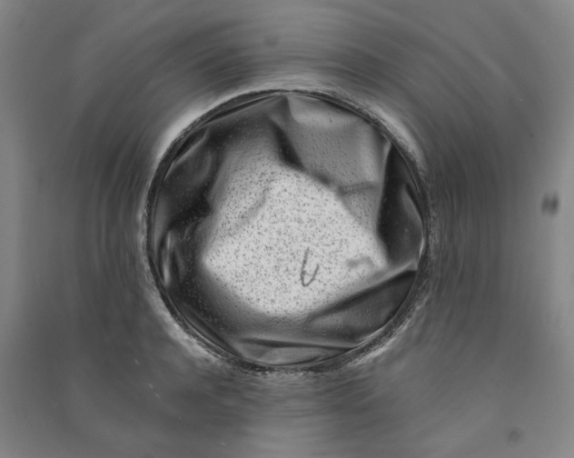 X0000090880944200708171643