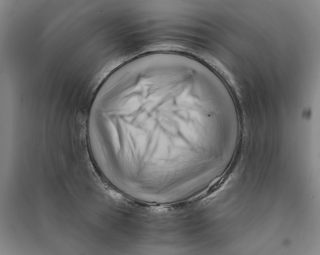 X0000090880945200708171643