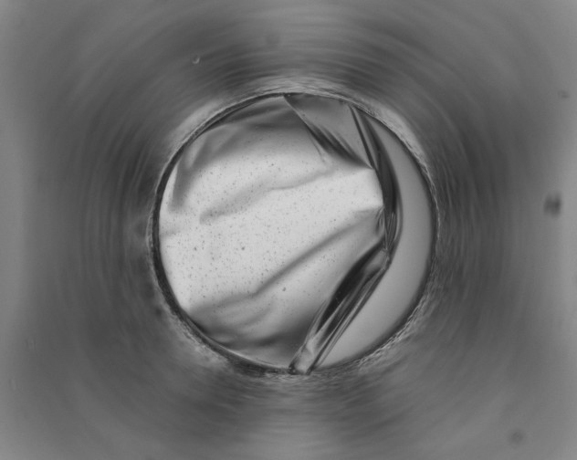 X0000090880946200708171643