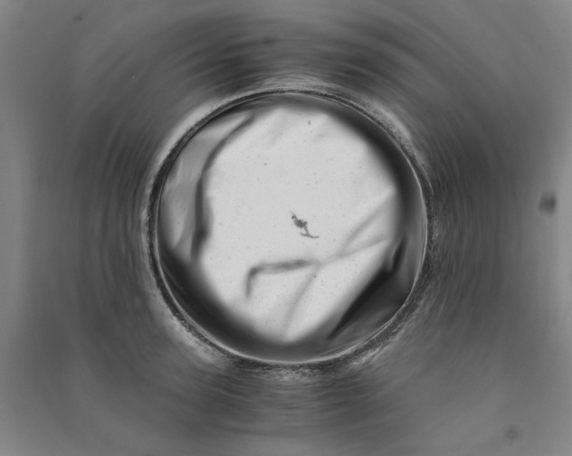 X0000090880947200708171643