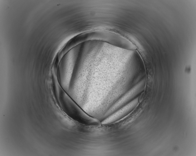 X0000090880948200708171643