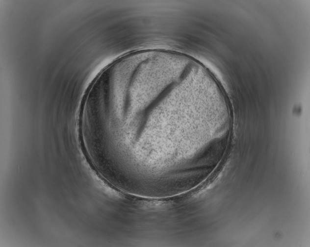 X0000090880949200708171643