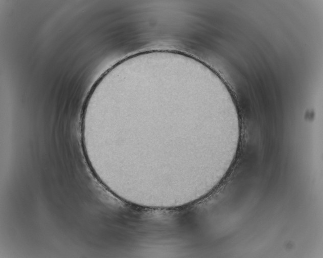 X0000090880950200708171643