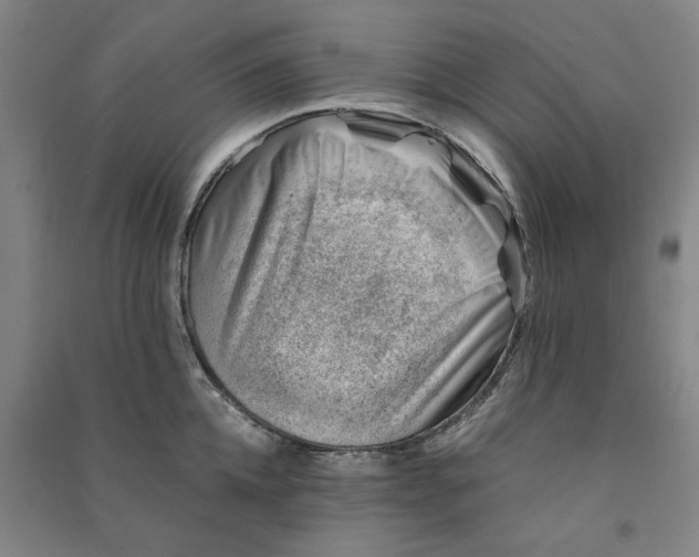 X0000090880952200708171643