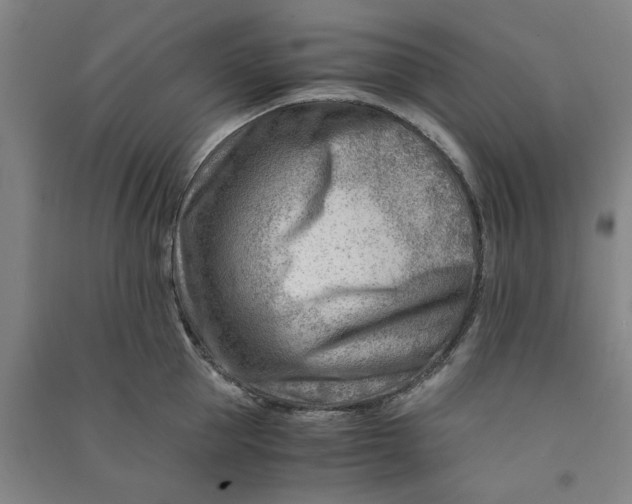 X0000090880953200708171643