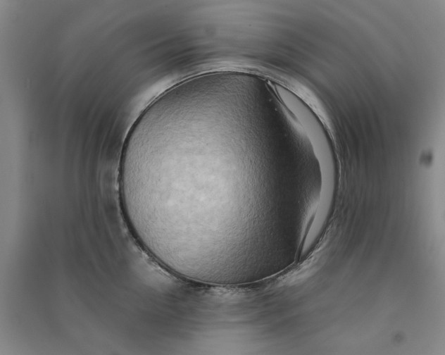 X0000090880954200708171643