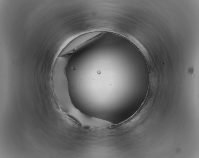 X0000090880956200708171643