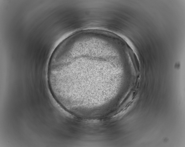 X0000090880957200708171643