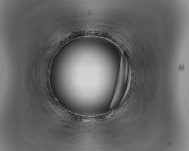 X0000090880961200708171642