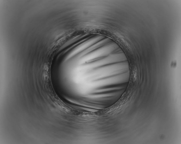 X0000090880964200708171642