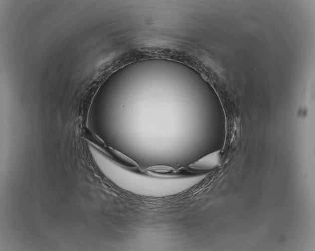 X0000090880965200708171642