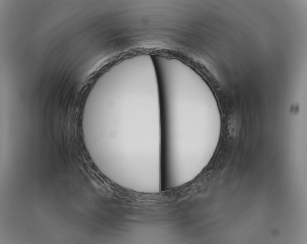 X0000090880968200708171642