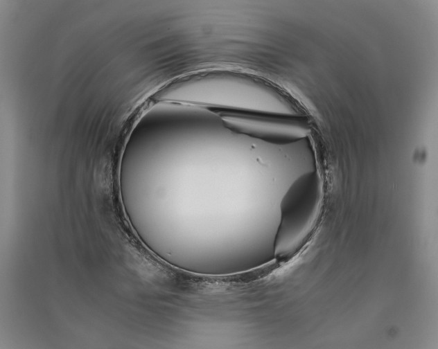 X0000090880969200708171642