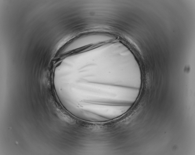 X0000090880970200708171642