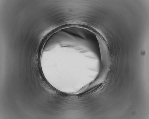 X0000090880971200708171642