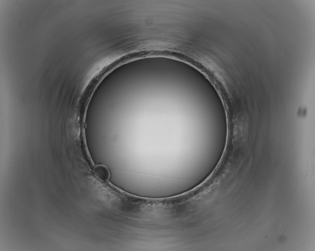 X0000090880973200708171642
