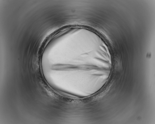 X0000090880974200708171642