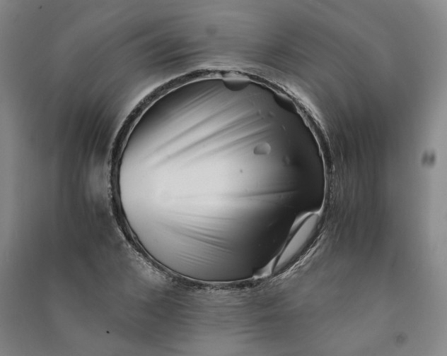 X0000090880976200708171642