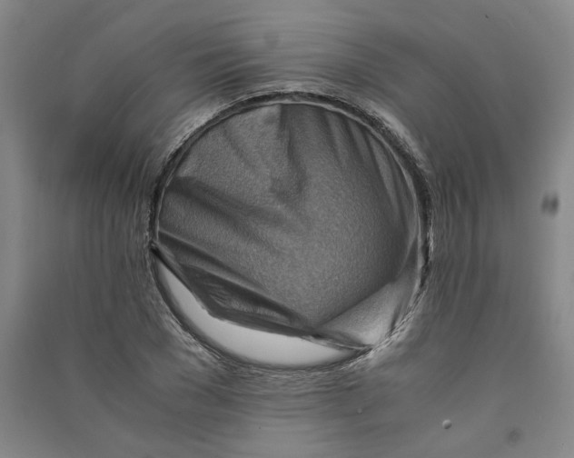 X0000090880977200708171642