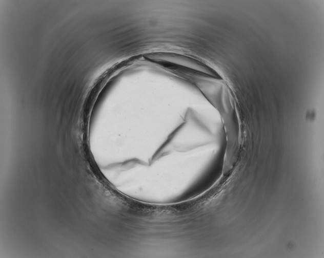 X0000090880979200708171642